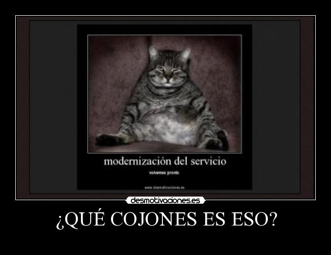 ¿QUÉ COJONES ES ESO? - 