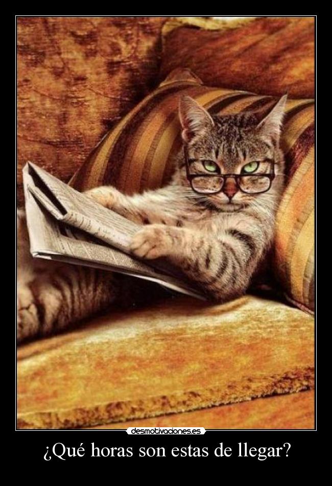 ¿Qué horas son estas de llegar? -