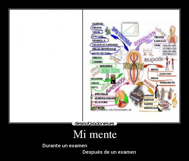 Mi mente -  Durante un examen                                                    
                         Después de un examen