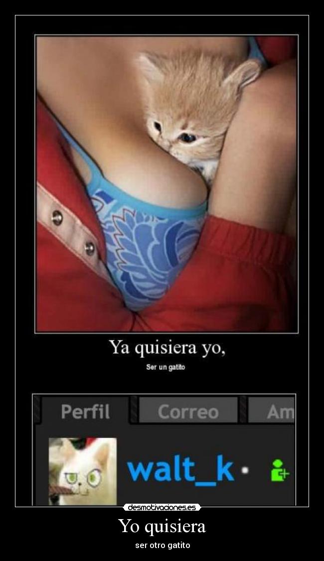 Yo quisiera - ser otro gatito