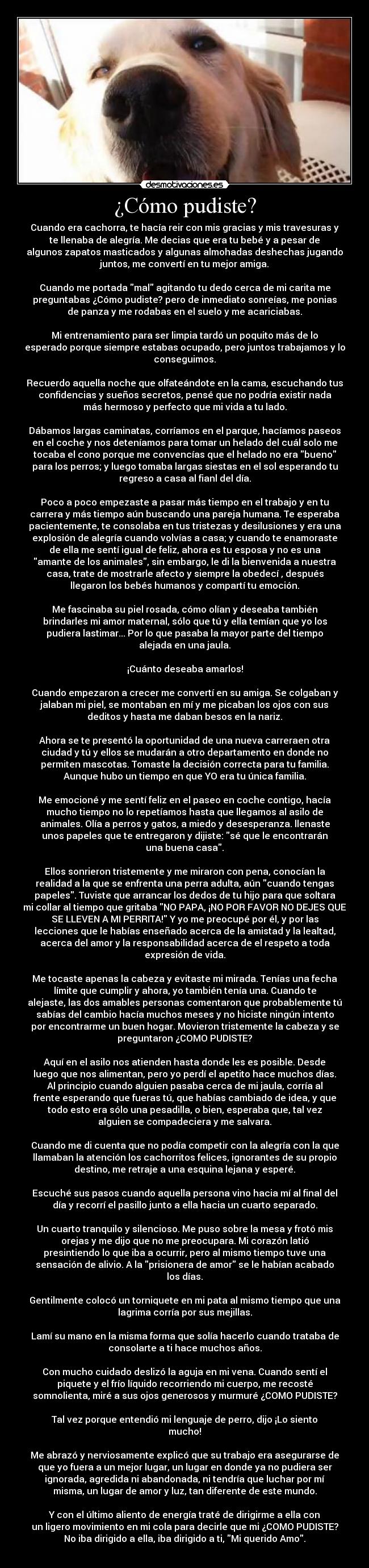 carteles abcdefghijklmnnopqrstuvwxyz desmotivaciones