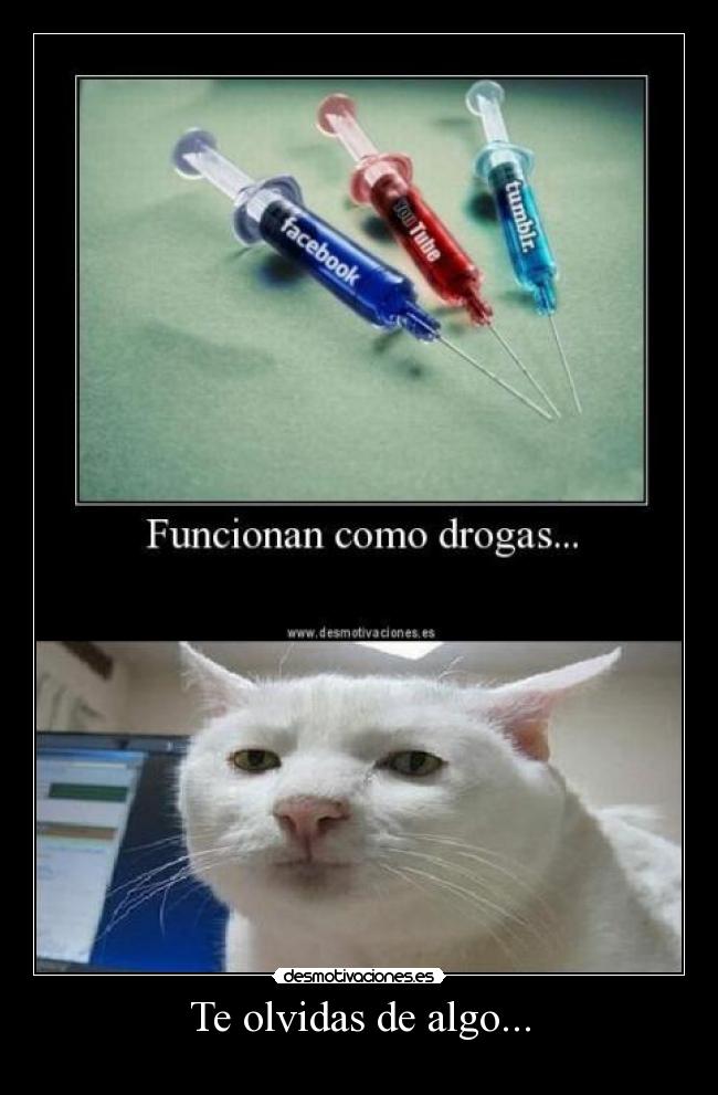 Te olvidas de algo... - 