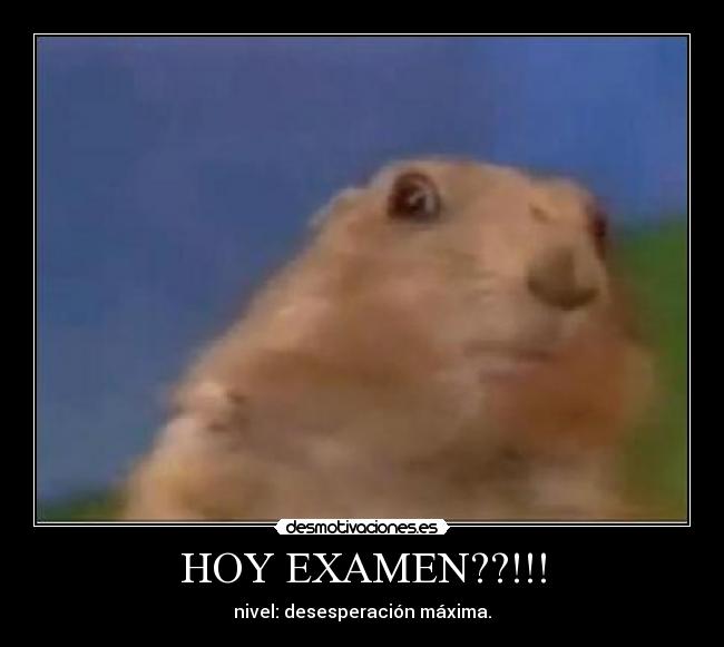 HOY EXAMEN??!!! -