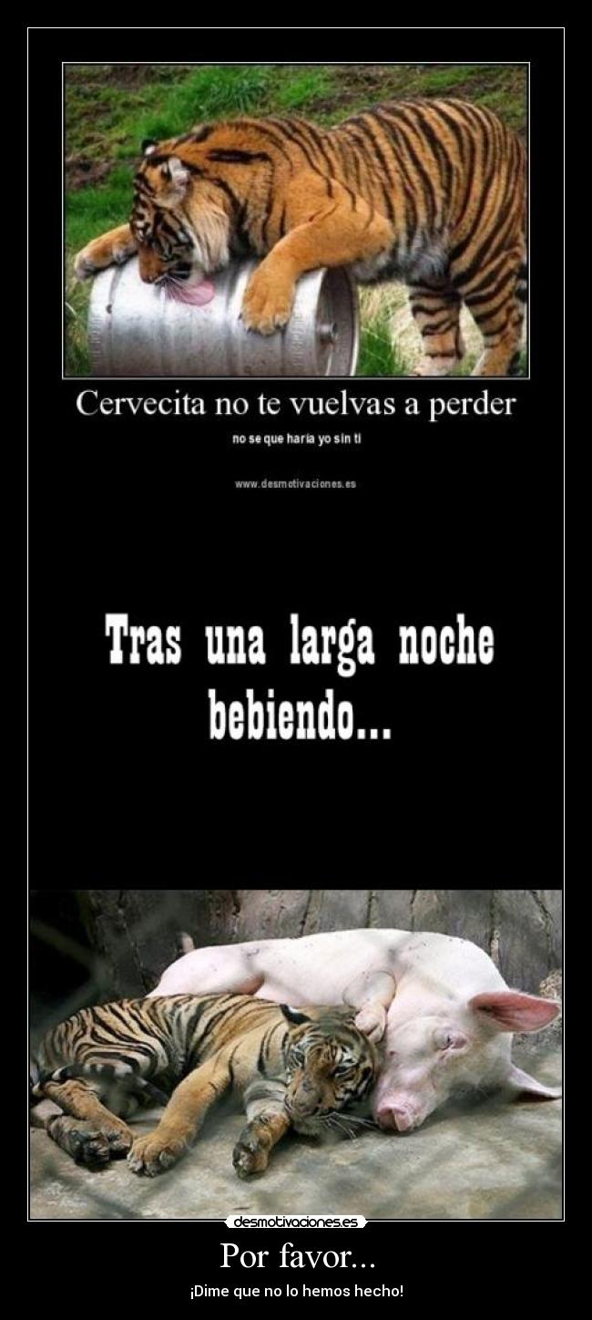 Por favor... - ¡Dime que no lo hemos hecho!