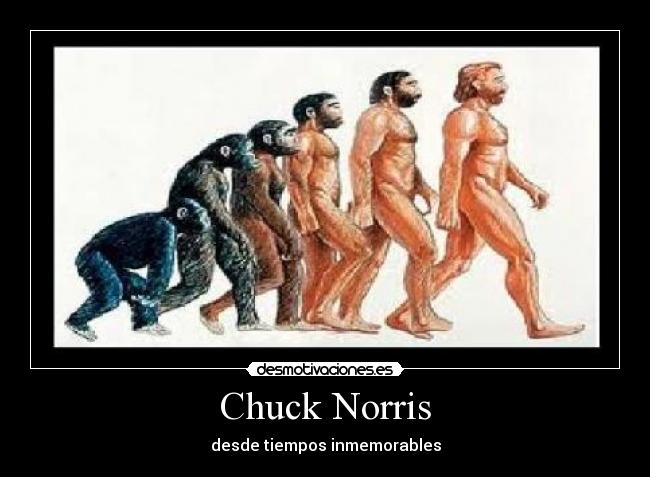 Chuck Norris - desde tiempos inmemorables
