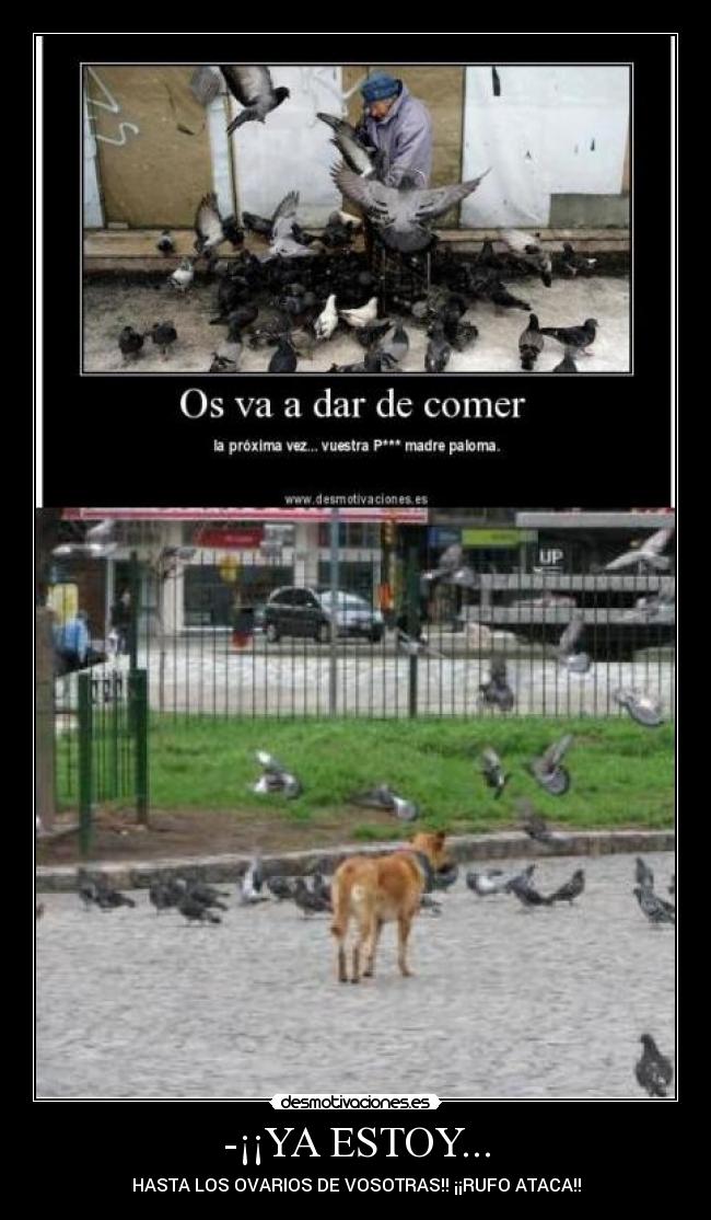 -¡¡YA ESTOY... -