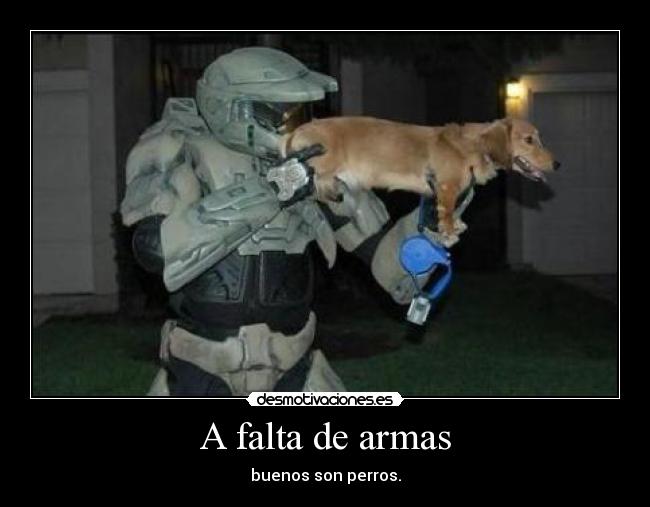 A falta de armas - buenos son perros.