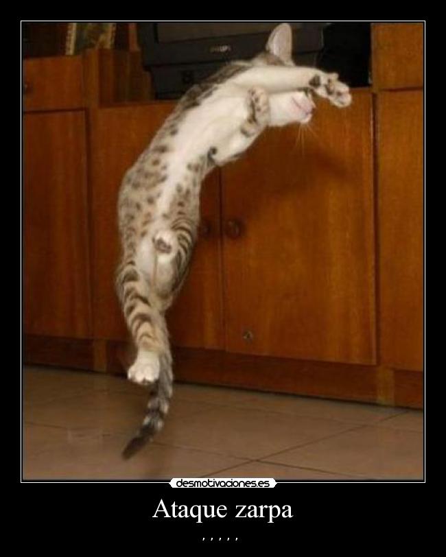 Ataque zarpa - 