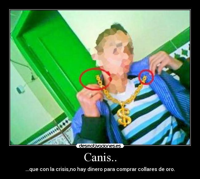 Canis.. -