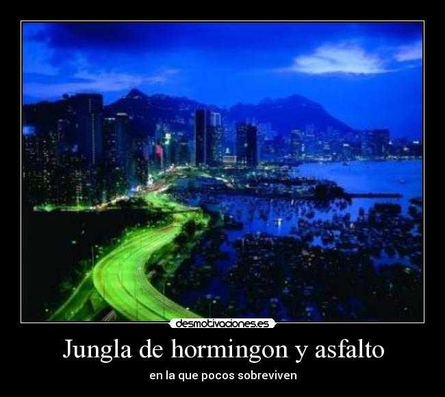 Jungla de hormingon y asfalto - 
