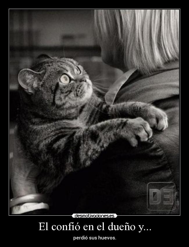 El confió en el dueño y... - perdió sus huevos.