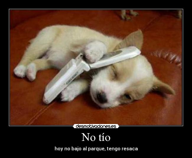 carteles perro movil resaca desmotivaciones