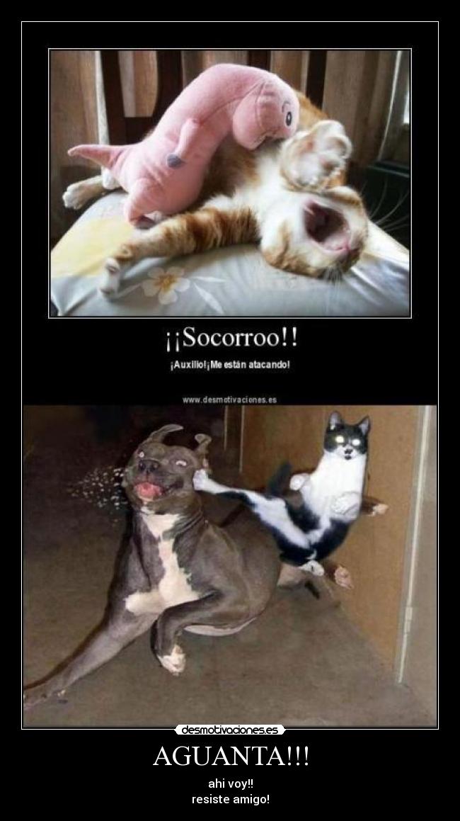 AGUANTA!!! - 