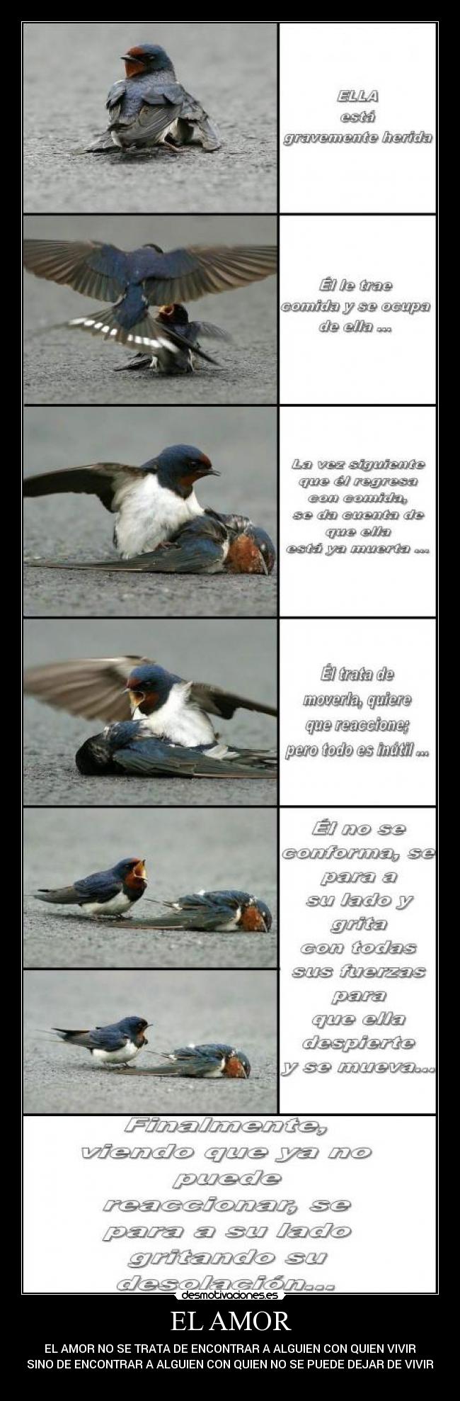 EL AMOR - EL AMOR NO SE TRATA DE ENCONTRAR A ALGUIEN CON QUIEN VIVIR
SINO DE ENCONTRAR A ALGUIEN CON QUIEN NO SE PUEDE DEJAR DE VIVIR
