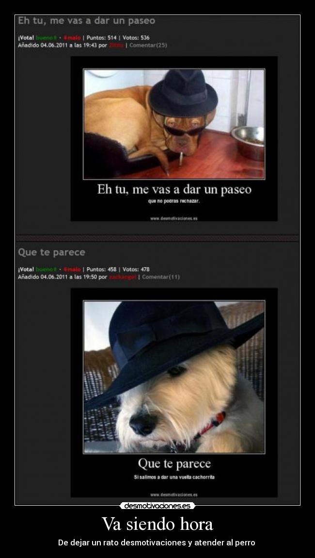 Va siendo hora - De dejar un rato desmotivaciones y atender al perro