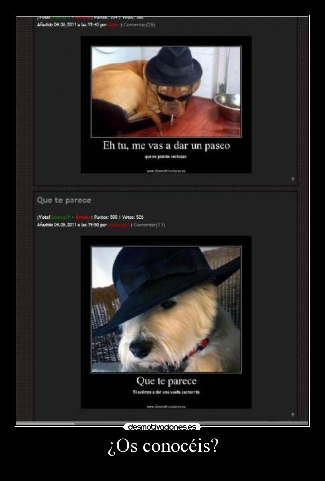 ¿Os conocéis? -