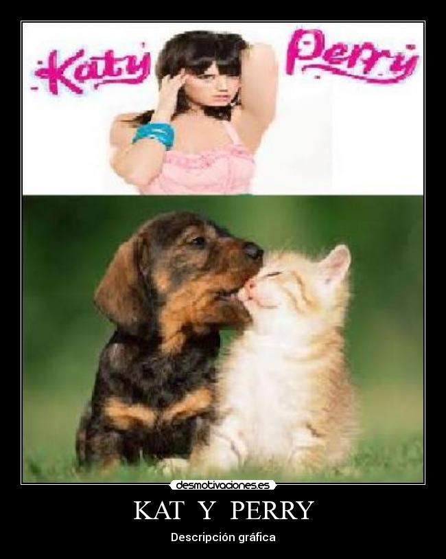 KAT  Y  PERRY - Descripción gráfica