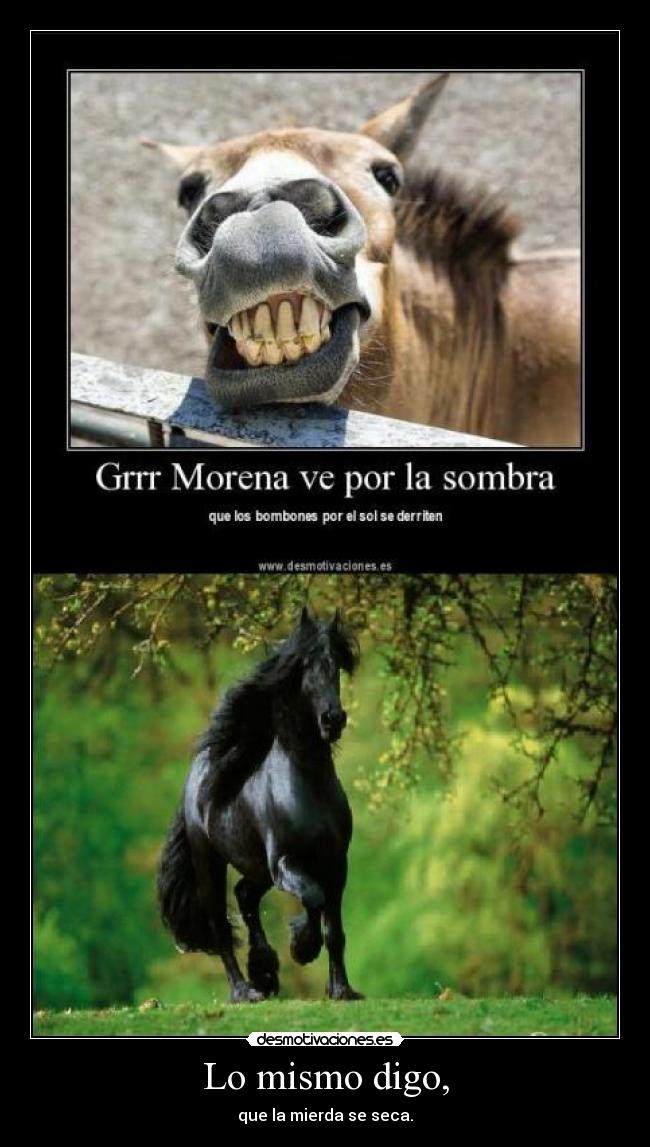 Lo mismo digo, - que la mierda se seca.