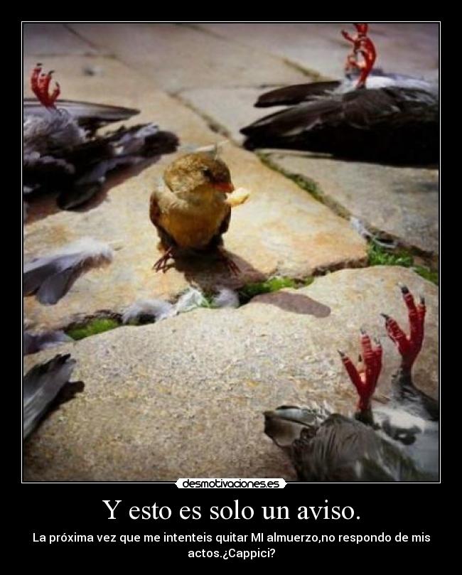 Y esto es solo un aviso. -