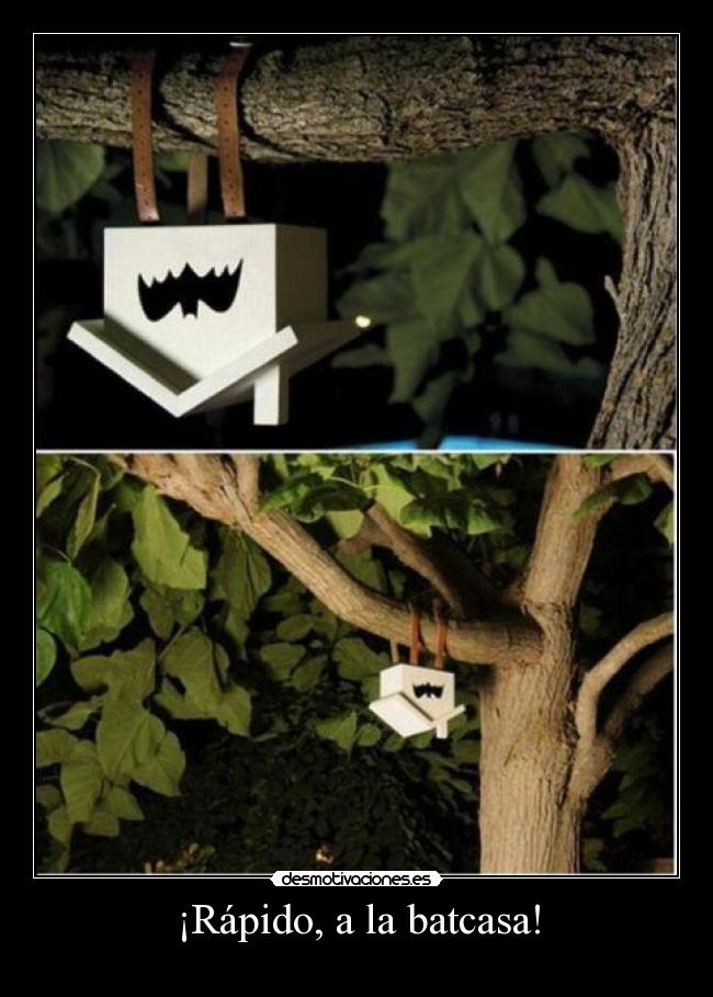 ¡Rápido, a la batcasa! - 
