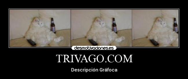 TRIVAGO.COM - 