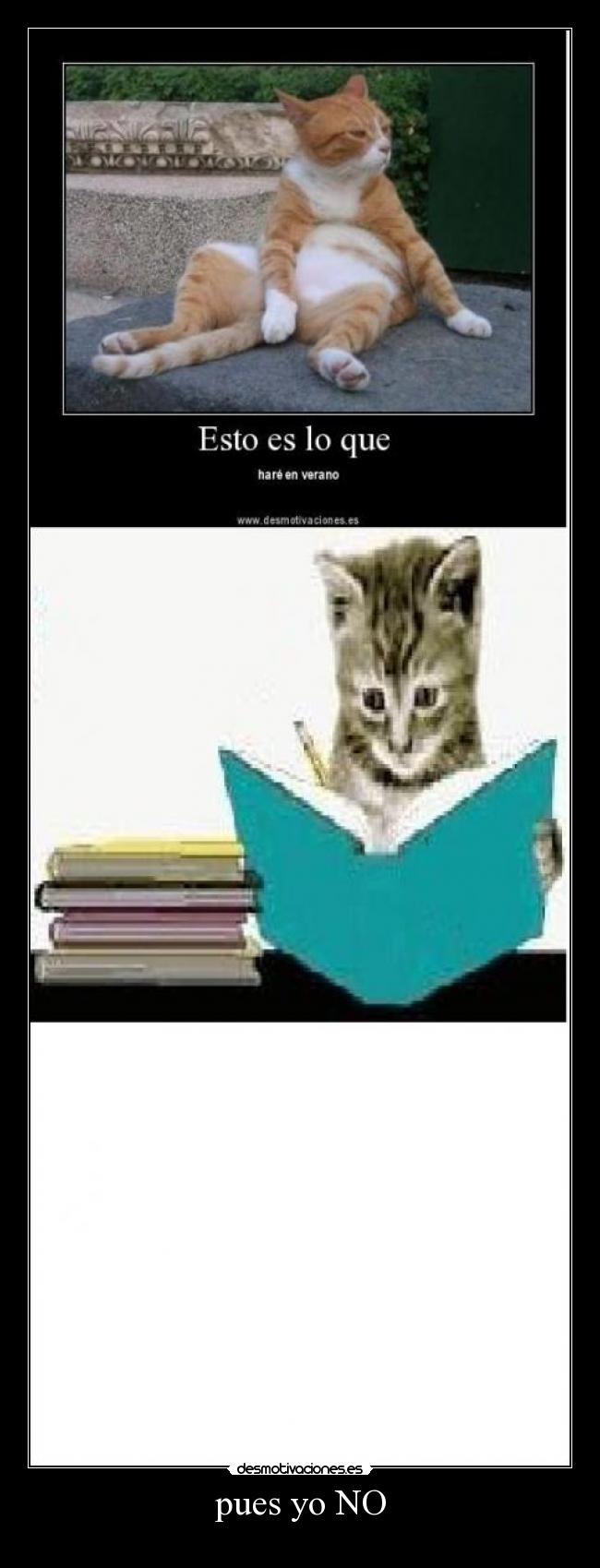 pues yo NO -