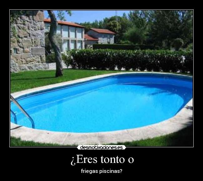 ¿Eres tonto o - friegas piscinas?
