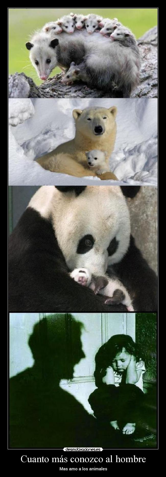 Cuanto más conozco al hombre -