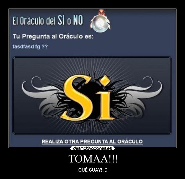 TOMAA!!! - 