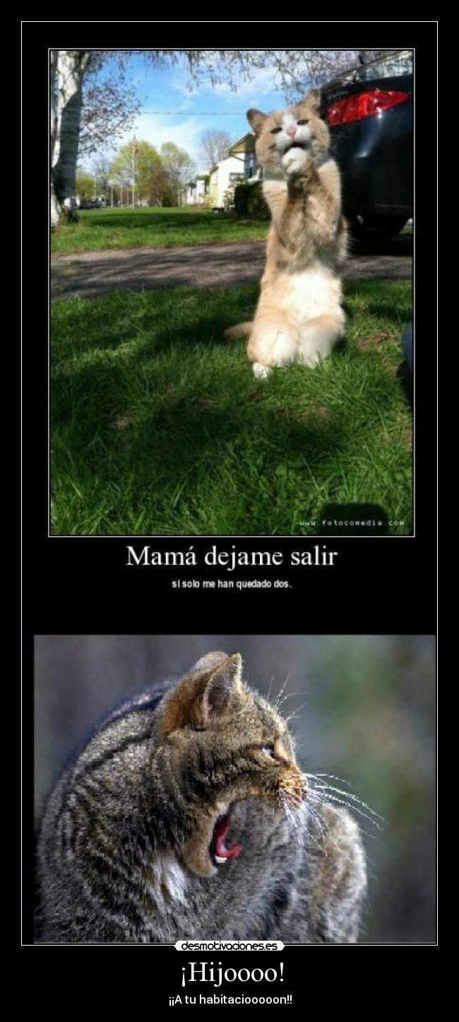 ¡Hijoooo! - ¡¡A tu habitaciooooon!!