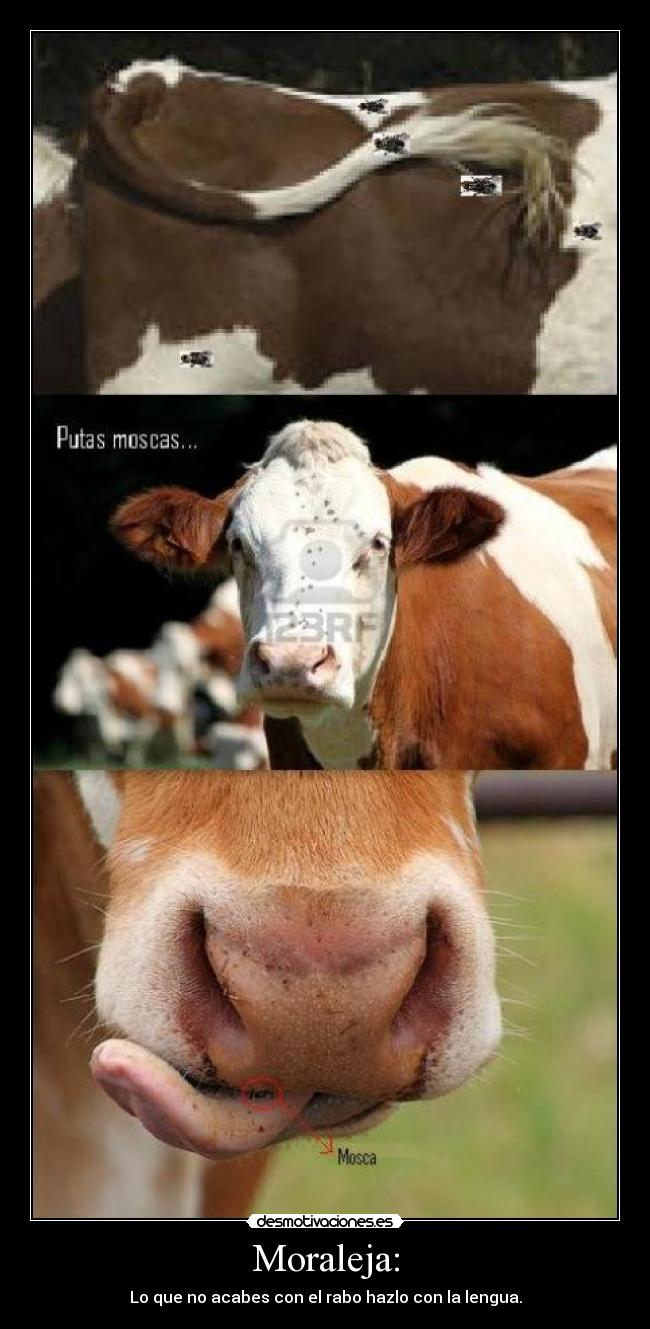 Moraleja: - Lo que no acabes con el rabo hazlo con la lengua.