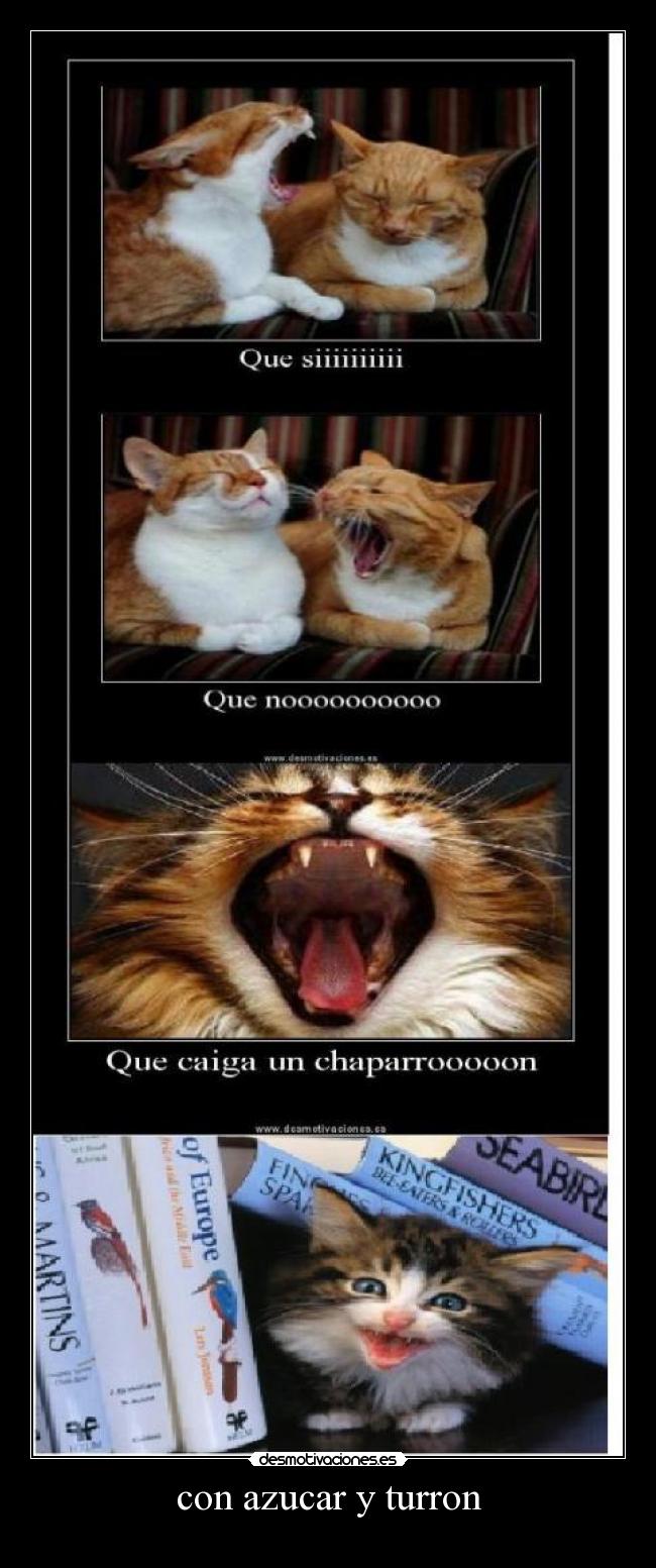 con azucar y turron -