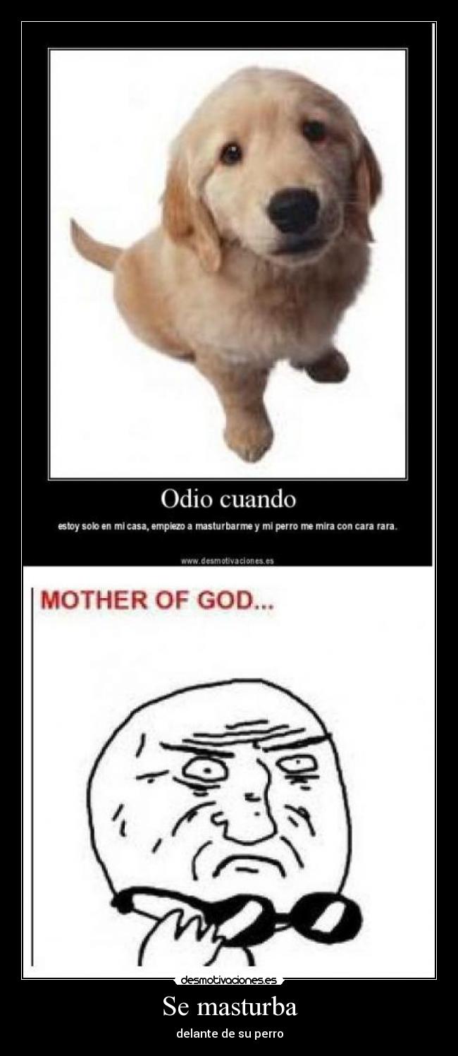 Se masturba - delante de su perro