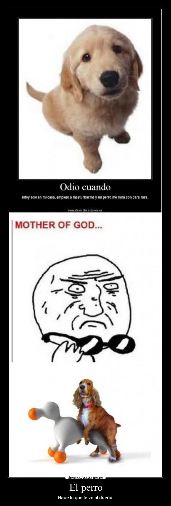 El perro - Hace lo que le ve al dueño 