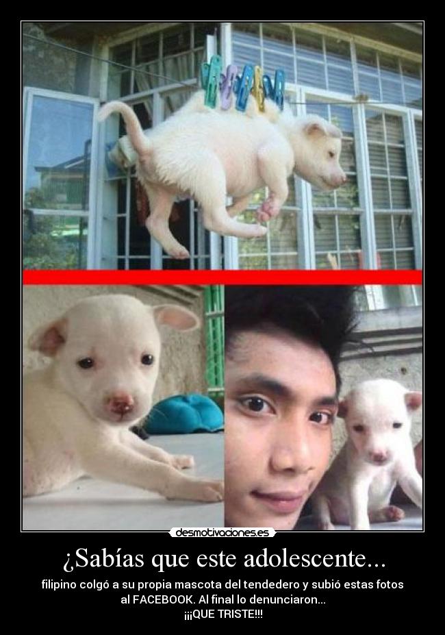 carteles migmol luigot desmotivaciones