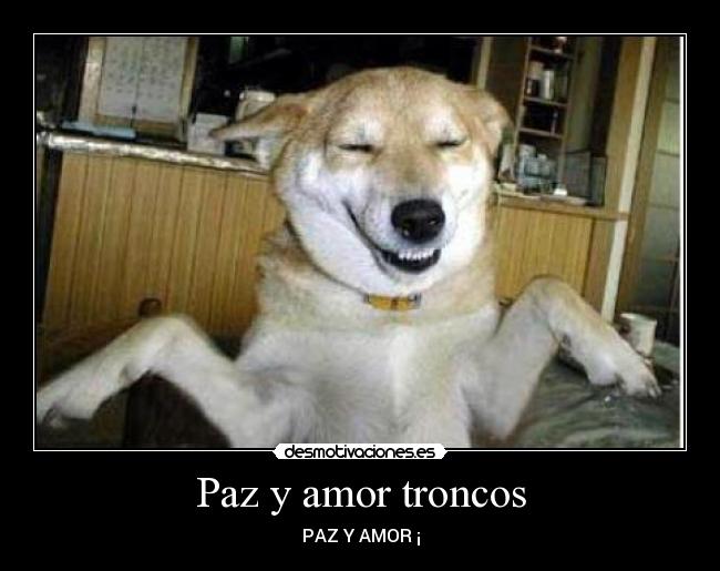 Paz y amor troncos -