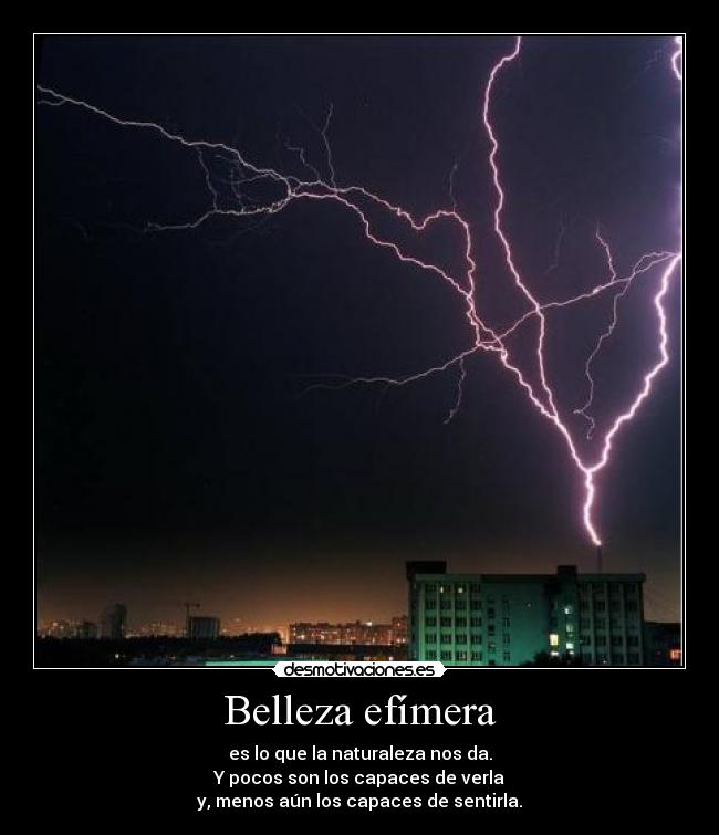 Belleza efímera - 