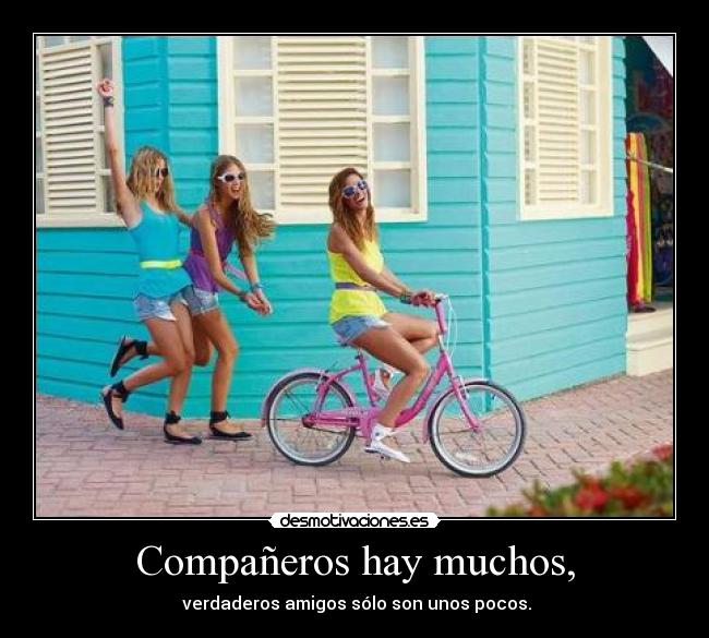 Compañeros hay muchos, - verdaderos amigos sólo son unos pocos.