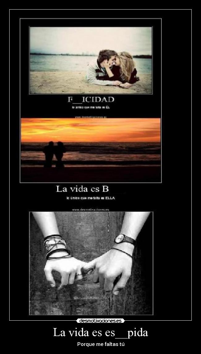 La vida es es__pida - Porque me faltas tú