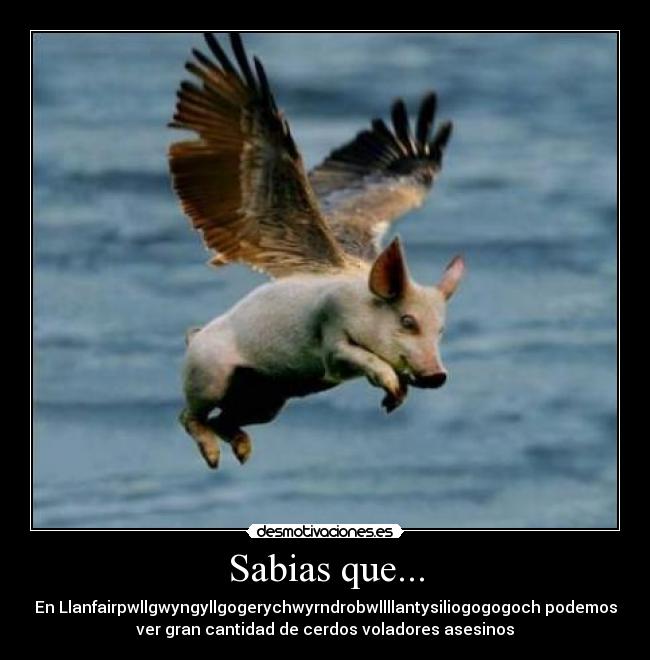 Sabias que... -