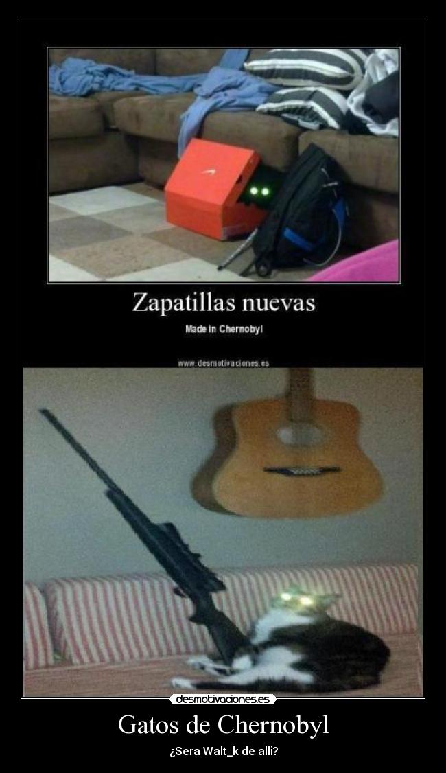 Gatos de Chernobyl - 