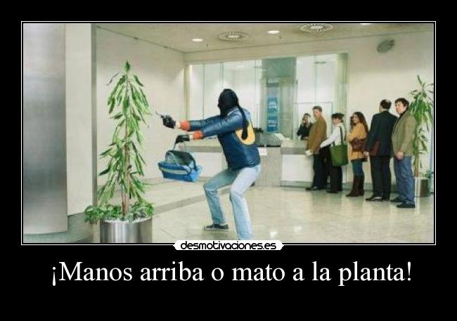 ¡Manos arriba o mato a la planta! - 