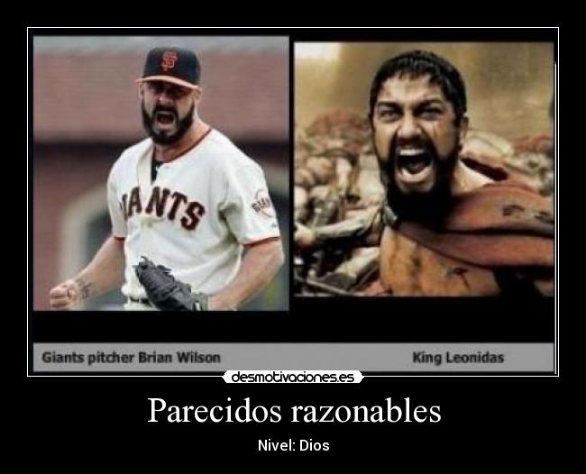 Parecidos razonables -