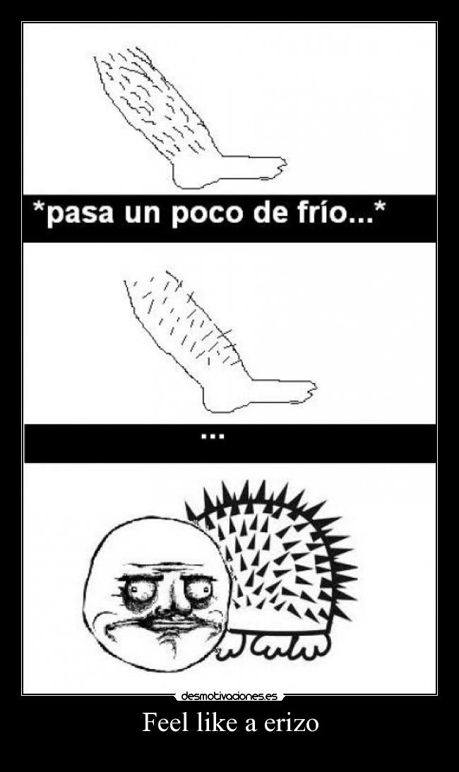Feel like a erizo -