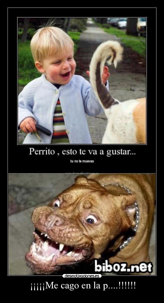 ¡¡¡¡¡Me cago en la p....!!!!!! -