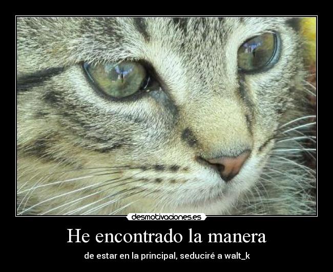 He encontrado la manera -