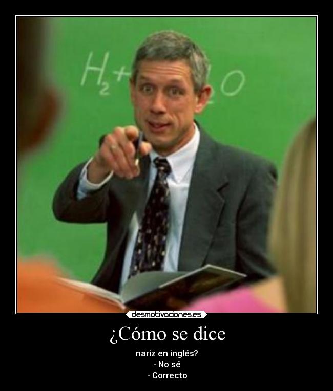 ¿Cómo se dice - nariz en inglés?
- No sé
- Correcto