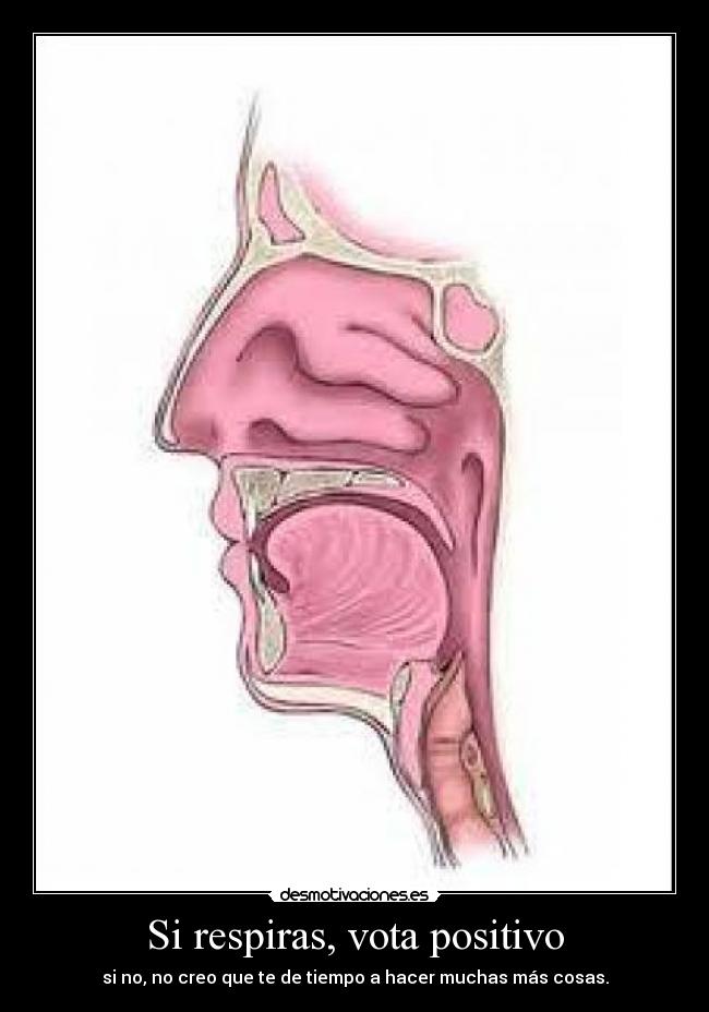 Si respiras, vota positivo - 