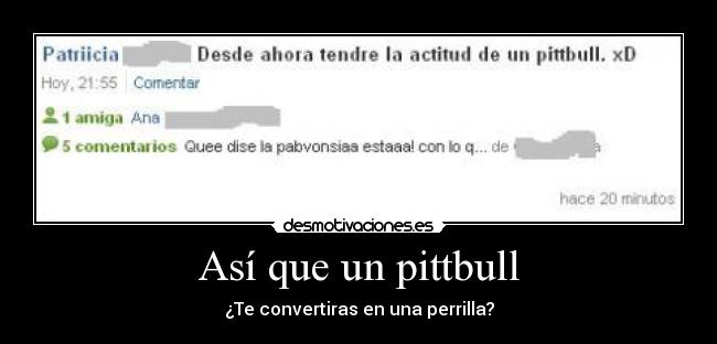 Así que un pittbull -