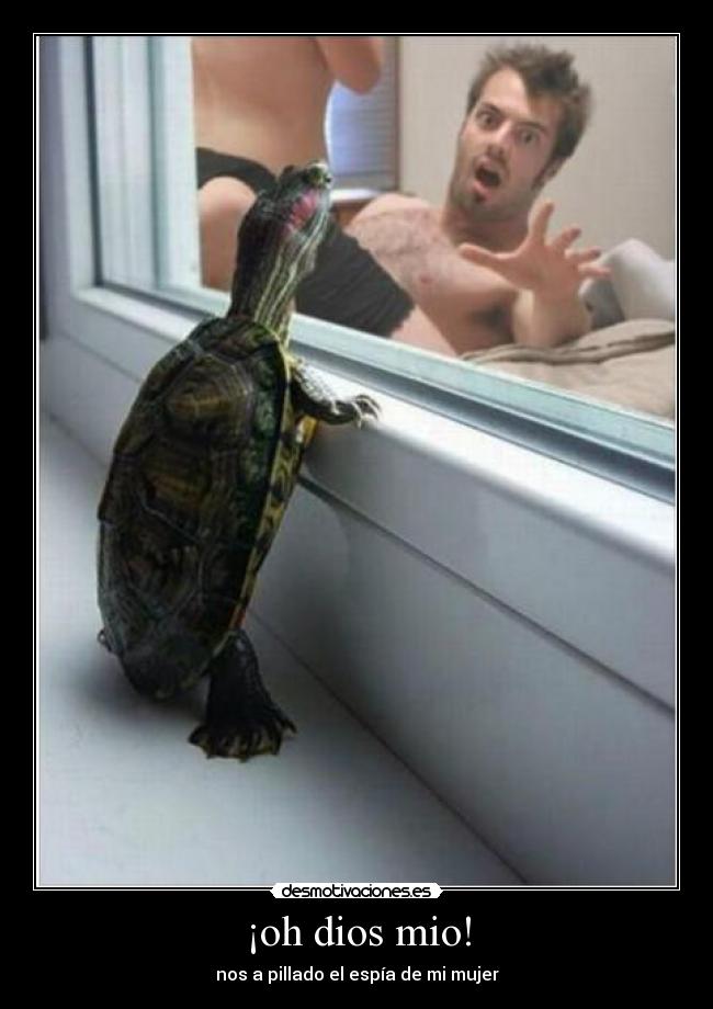 ¡oh dios mio! - nos a pillado el espía de mi mujer